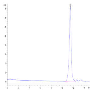 Human PLAU/uPA Protein (active form) (PLA-HM101)