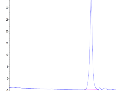 Human PLAU/uPA Protein (active form) (PLA-HM101)