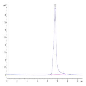 Human PLAU/uPA Protein (pro form) (PLA-HM102)