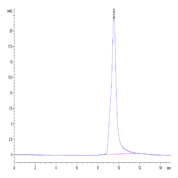 Human PLAU/uPA Protein (pro form) (PLA-HM102)