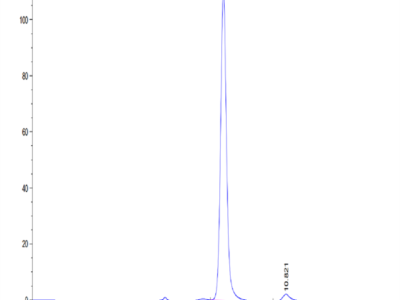 Human PLA2G1B Protein (PLA-HM21B)