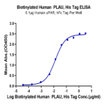Biotinylated Human PLAU/uPA Protein (active form) (PLA-HM401B)