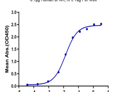 Biotinylated Human PLAU/uPA Protein (active form) (PLA-HM401B)