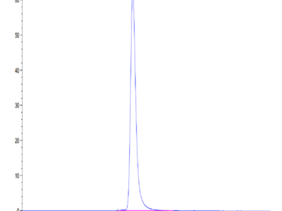 Mouse PLA2G1B Protein (PLA-MM21B)