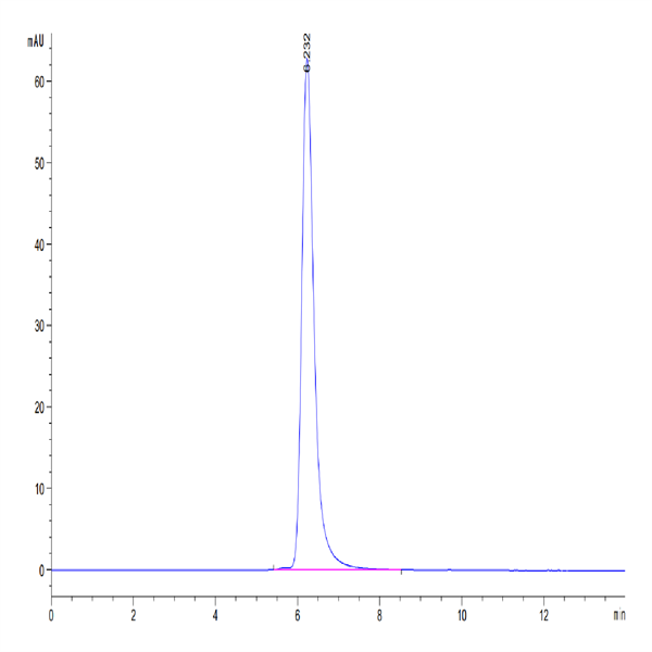 Mouse PLA2G1B Protein (PLA-MM21B) Mouse PLA2G1B Protein (PLA-MM21B)