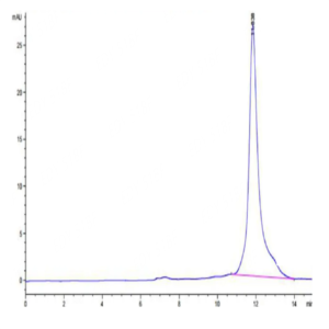 Mouse PLAU/uPA Protein (PLA-MM401)