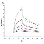 Biotinylated Mouse PLAU/uPA Protein (PLA-MM401B)