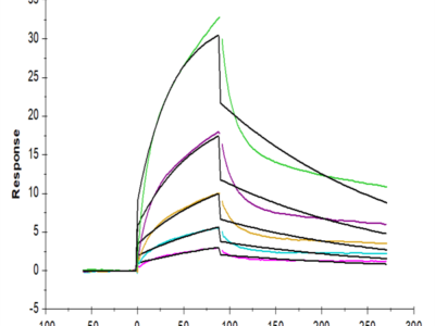 Biotinylated Mouse PLAU/uPA Protein (PLA-MM401B)