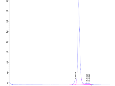 Rat PLAU/uPA Protein (PLA-RM101)