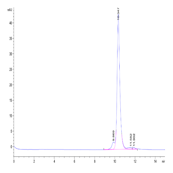 Rat PLAU/uPA Protein (PLA-RM101)