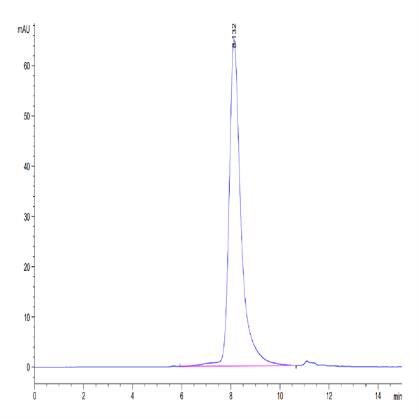 Human PLD4 Protein (PLD-HM104) Human PLD4 Protein (PLD-HM104)