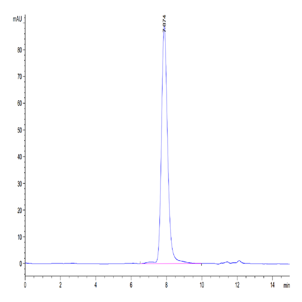 Mouse PLD4 Protein (PLD-MM104)