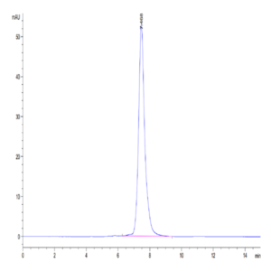 Canine PRLR Protein (PLR-DM201)