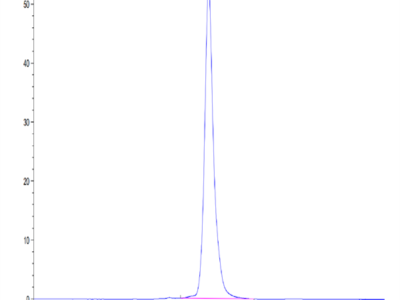 Canine PRLR Protein (PLR-DM201)