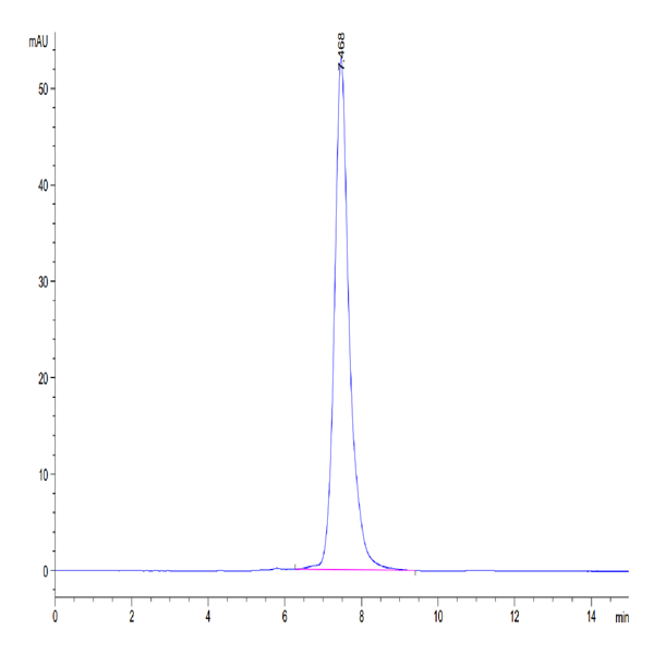 Canine PRLR Protein (PLR-DM201)