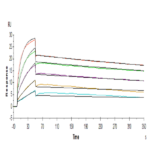 Human PRLR Protein (PLR-HM101)