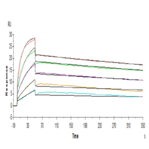 Human PRLR Protein (PLR-HM101)