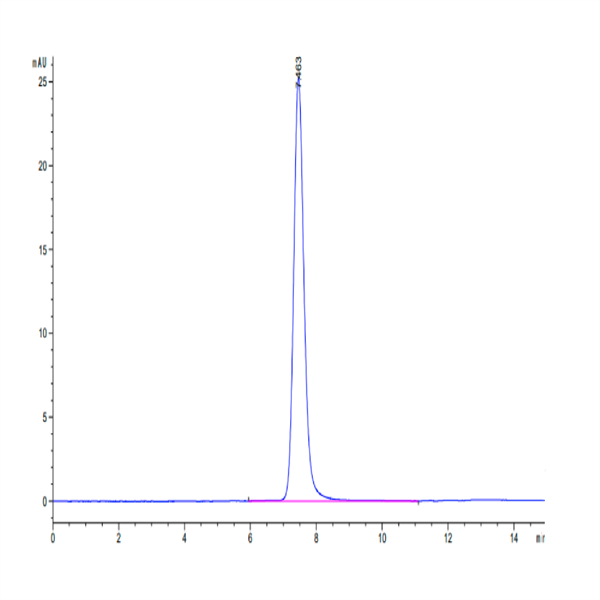 Human PLXNA1 Protein (PLX-HM101) Human PLXNA1 Protein (PLX-HM101)