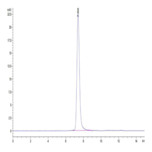 Mouse PLXNA1 Protein (PLX-MM101)