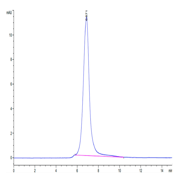 Mouse PODXL2 Protein (POD-MM1L2) Mouse PODXL2 Protein (POD-MM1L2)
