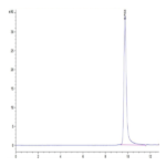 Human PRL-1/PTP4A1 Protein (PRL-HE101)