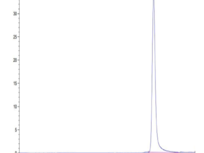 Human PRL-1/PTP4A1 Protein (PRL-HE101)