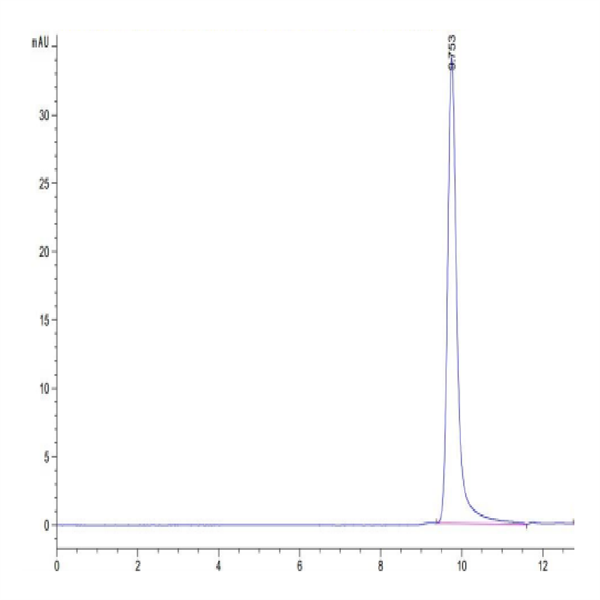 Human PRL-1/PTP4A1 Protein (PRL-HE101) Human PRL-1/PTP4A1 Protein (PRL-HE101)