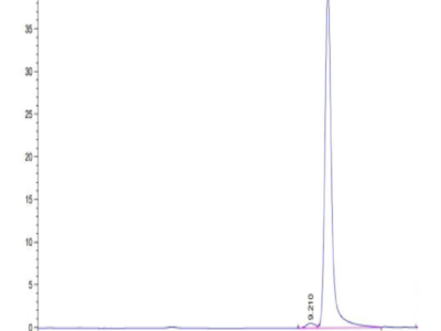 Human PRL-2/PTP4A2 Protein (PRL-HE102)