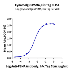 Cynomolgus PSMA/FOLH1 Protein (PSM-CM110)
