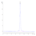 Cynomolgus PSMA/FOLH1 Protein (PSM-CM110)