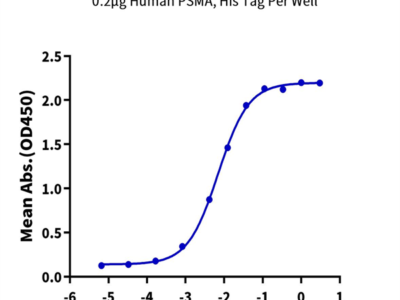 Human PSMA/FOLH1 Protein (PSM-HM110)