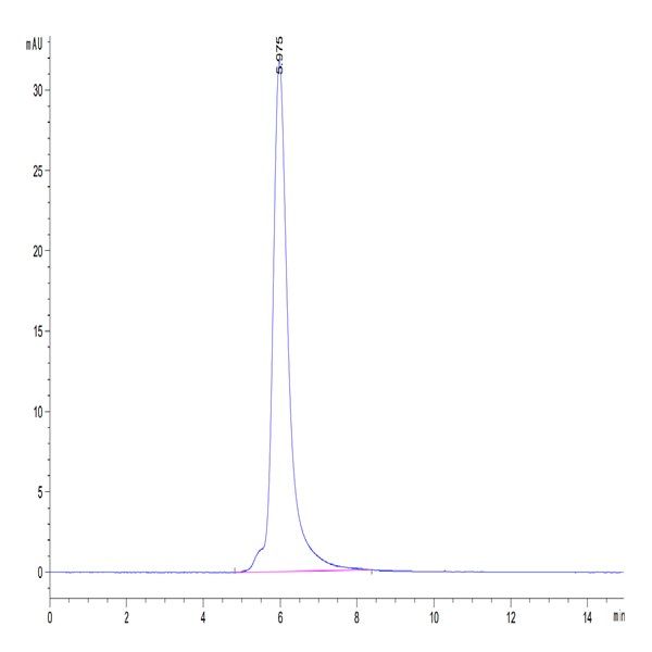 Human PSMA/FOLH1 Protein (PSM-HM110)