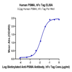 Human PSMA/FOLH1 Protein (PSM-HM210)