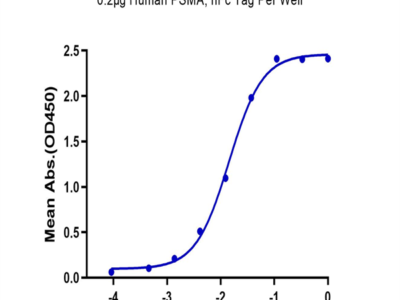 Human PSMA/FOLH1 Protein (PSM-HM210)