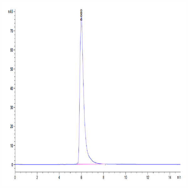 Human PSMA/FOLH1 Protein (PSM-HM210)