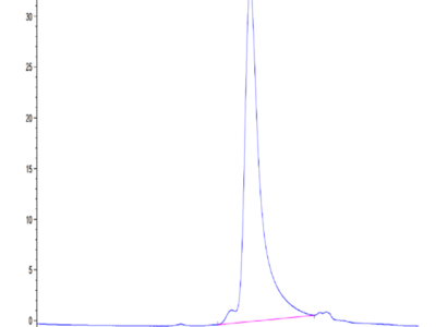 Mouse PSMA/FOLH1 Protein (PSM-MM110)