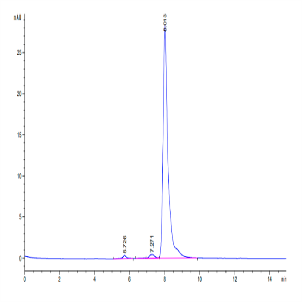 Human PTH Protein (PTH-HM201) Human PTH Protein (PTH-HM201)