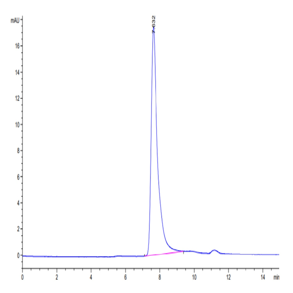 Mouse PTN Protein (PTN-MM201) Mouse PTN Protein (PTN-MM201)