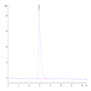 Human CD45/PTPRC Protein (PTP-HM204)