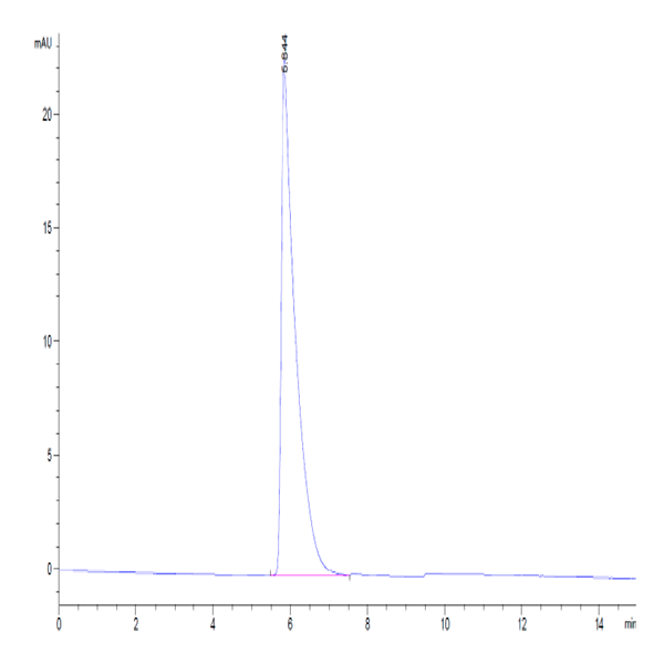 Human CD45/PTPRC Protein (PTP-HM204)