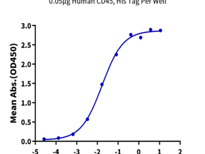 Human CD45/PTPRC Protein (PTP-HM404)