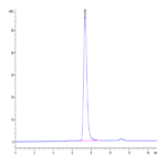 Human CD45/PTPRC Protein (PTP-HM404)
