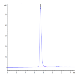 Human CD45/PTPRC Protein (PTP-HM404)