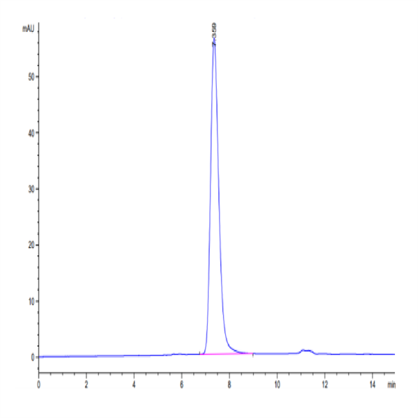 Human CD45/PTPRC Protein (PTP-HM404)
