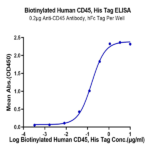 Biotinylated Human CD45/PTPRC Protein (PTP-HM404B)
