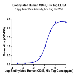 Biotinylated Human CD45/PTPRC Protein (PTP-HM404B)