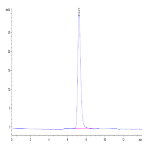 Biotinylated Human CD45/PTPRC Protein (PTP-HM404B)