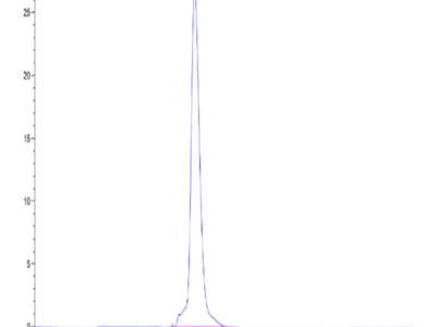 Mouse CD45/PTPRC Protein (PTP-MM201)