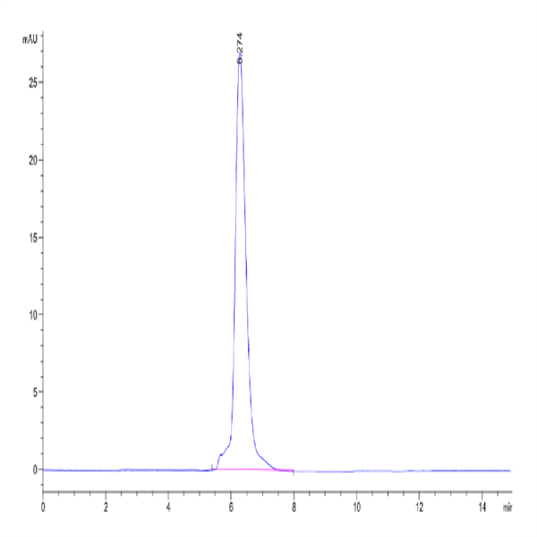 Mouse CD45/PTPRC Protein (PTP-MM201) Mouse CD45/PTPRC Protein (PTP-MM201)