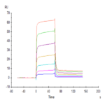 Cynomolgus PVRIG Protein (PVR-CM401)